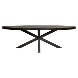 Eetkamertafel Denver ovaal mango zwart 210cm
