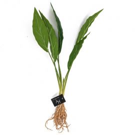 Kunstplant Flamingoplant met wortels