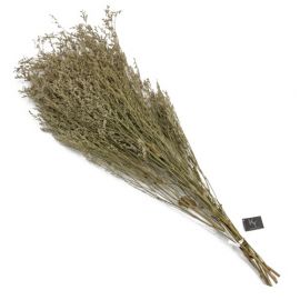 Gedroogde zeelavendel 70 cm (bosje)