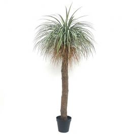 Kunstplant Agave palmboom 229cm