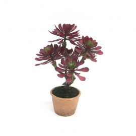 Kunstplant Succulent in pot 39,5cm