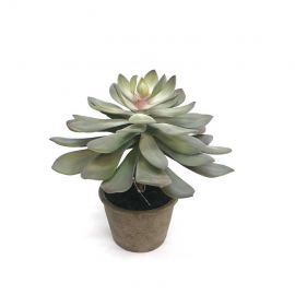 Kunstplant Succulent in pot 30,5cm