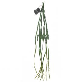 Kunstplant groen hangend