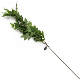 Decoratietak groene bladeren